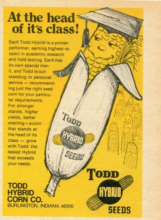 1974 Small Print Ad Of Todd Hybrid Corn Seed Head Of It 