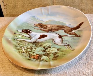 Borzoi Russian Wolfhound Running With Greyhound - Designer Plate - Germany