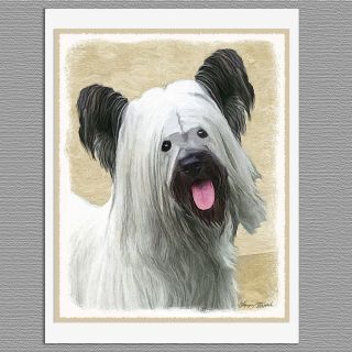 6 Skye Terrier Dog Blank Art Note Greeting Cards