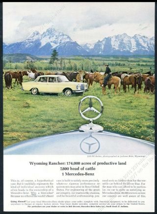 1964 Mercedes - Benz 220se 220 Se Jackson Hole Grand Tetons Photo Vintage Print Ad