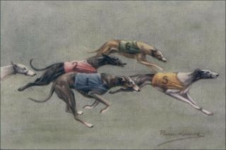 Greyhound Dog Races 1920 