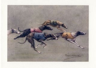 Greyhound Dog Races 1920 ' s Persis Kirmse Art - 8 LARGE Blank Note Cards 2