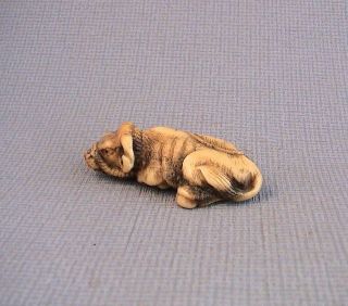 Early19th Century Japanese Stag Antler Netsuke Of An Ox
