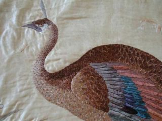 ANTIQUE CHINESE QING DYNASTY EMBROIDERY EMBROIDERED LARGE PEACOCK BANNER SIGNED 3