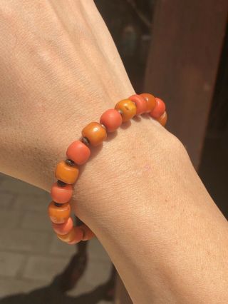 Antique Chinese Natural Baltic Amber And Undyed Old Natural Coral Beads Bracelet 6