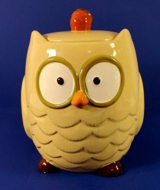 Hand Painted Ceramic Owl Cookie Jar -