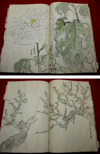 1 - 20 Japanese 124 pages sketch hand drown pictures BOOK 5