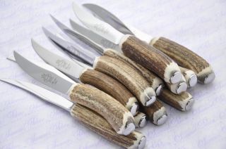 Twelve Stag/antler Handle Steak Knives Boxed Made In Sheffield England