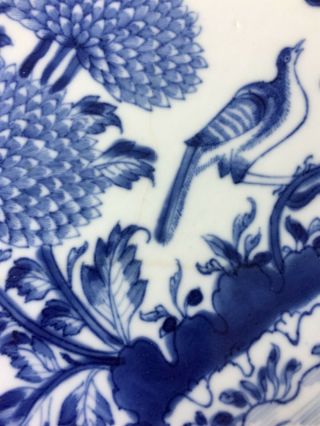 Estate Pair Antique Chinese Blue White Porcelain Dishes Chrysanthemums Birds 7