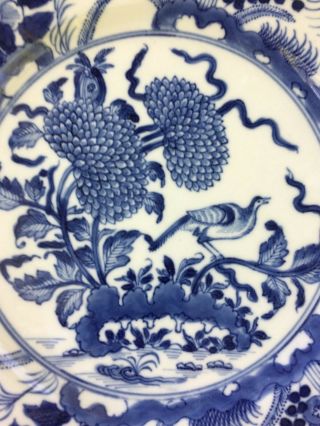 Estate Pair Antique Chinese Blue White Porcelain Dishes Chrysanthemums Birds 8