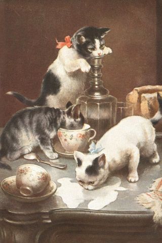 Cute Kitten Cats Pre - 1918 Drawing By Carl Reichert 8 - Large Note Cards