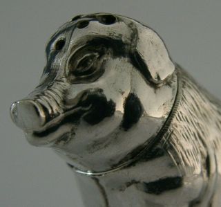 Rare English Sterling Silver Novelty Pig Pepper Pot 1910 Antique