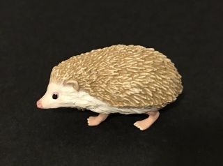 Kaiyodo Capsule Museum Q Manchurian Hedgehog Figure C