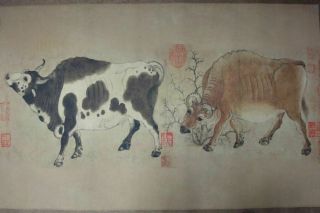 Very Long Large Chinese Scroll Painting Five Cattles 