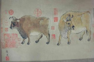 Very Long Large Chinese Scroll Painting Five Cattles 