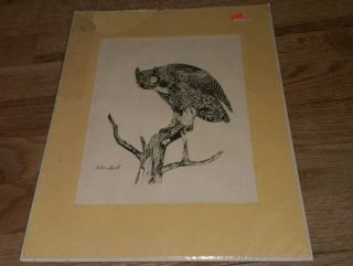 Vintage Matted Black & White Sketch Of An Owl Perched On A Barren Tree Don Saul