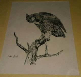 vintage matted black & white sketch of an owl perched on a barren tree Don Saul 2