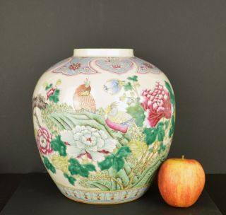 A Large Chinese Famille Rose Porcelain Jar With Birds - 19th Century