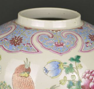 A LARGE CHINESE FAMILLE ROSE PORCELAIN JAR WITH BIRDS - 19TH CENTURY 4