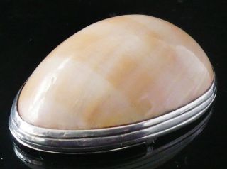 Antique Silver Mounted Cowrie Shell Snuff Box,  C.  1800