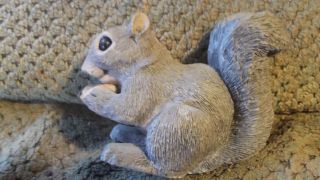 Squirrel Resin Compound Figure Created By Don James Artist