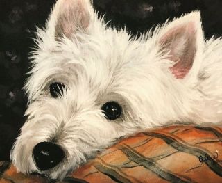 West Highland Terrier Westie Print From Painting Art Dog 8x10