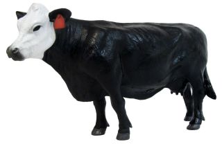 1/16 Ertl Black/white Faced Cow Pasture Dioramas Farm Display And Barn Settings.