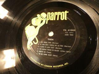 Them: Here Comes The Night (VG,  1st Parrot PA - 61005 MONO LP) Van Morrison 5