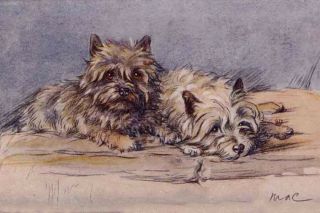 Cairn Terrier Dogs 1930 
