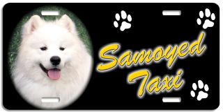 Samoyed 3 Taxi Line License Plate ( (low Price))