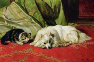Pomeranian / Spitz & Kitten Come & Play By Wright Barker Large Note Cards