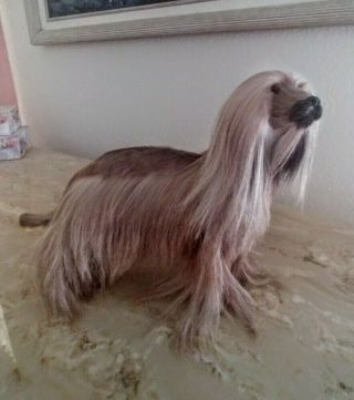 Lifelike Furry Afghan Hound Dog
