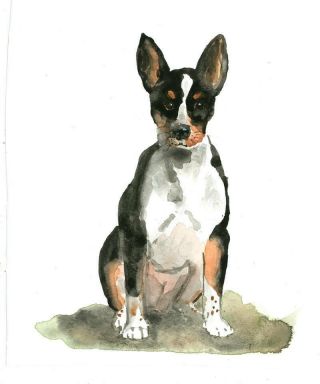 Watercolor Rat Terrier Dog Painting