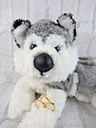 Siberian Husky Dog Gray Upper & White Underside Coat W/blue Eyes & Black Nose