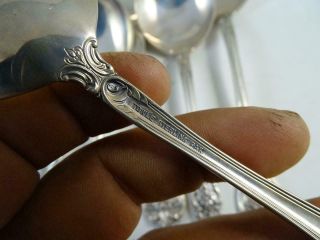 Vintage Sterling Silver Cream Soup Spoon Set Towle Old Master x8 300.  8 grams Old 5