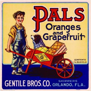 Orlando Florida Pals Boy And Dog Orange Citrus Fruit Crate Label Art Print