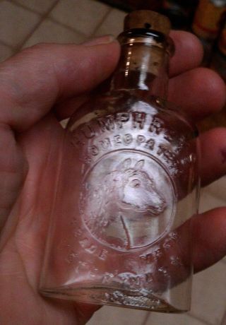 ANTIQUE MEDICINE BOTTLE HUMPHREY ' S HOMEOPATHIC VETERINARY & PICTURE OF HORSE 5