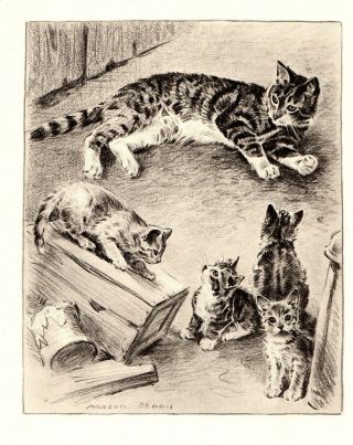 1946 Antique Mother Cat & Kittens Art Print Morgan Dennis Cat Art 3118