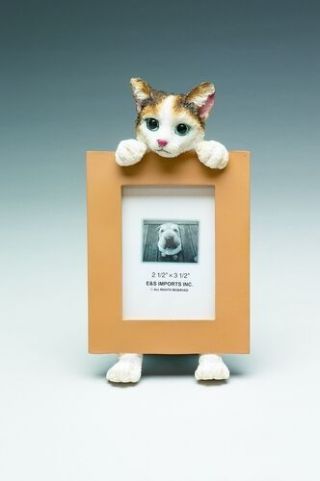 Calico Cat Picture Frame 16 - 2