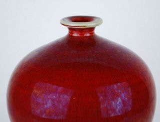 China antique Langyao Sang De Boeuf Oxblood Meiping vase 8