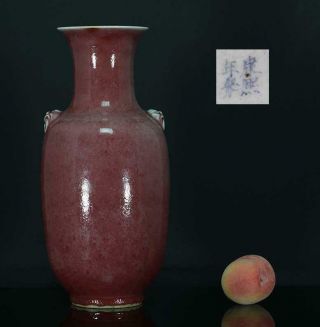 A Antique Chinese Porcelain Ox Blood Red Vase 19th Century