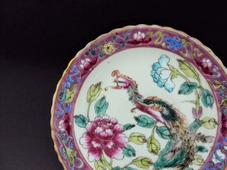 Hall Marked,  Impressive Chinese Porcelain Antique Peranakan Nyonya Straits Dish 5