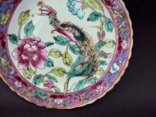 Hall Marked,  Impressive Chinese Porcelain Antique Peranakan Nyonya Straits Dish 6