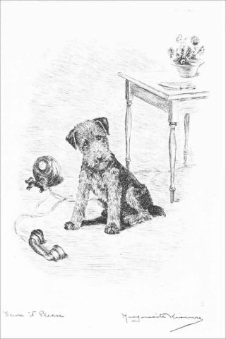 Airedale Puppy Terrier Dog Marguerite Kirmse 1929 8 Large Note Cards