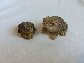 Realistic Toad Frog Resin Figurines Warty Froggie Toadie Fun Figures