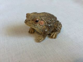 Realistic Toad Frog Resin Figurines Warty Froggie Toadie Fun Figures 2