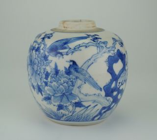 Antique Chinese Blue And White Porcelain Bird Flower Vase Ginger Jar 19th C Qing
