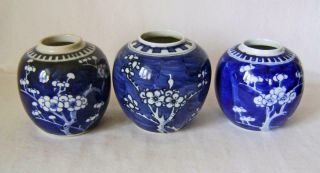 Three Antique Chinese Prunus Pattern Porcelain Vases C.  19th: Circle Marks