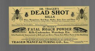 Advertising Blotter Dr Tragers Dead Shot Fatal Roach Powder 1920s Scranton Pa