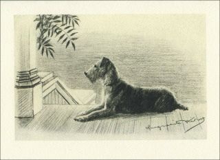 Airedale Terrier Dog By Marguerite Kirmse Large Note Cards